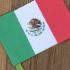 Mexican Flag Craft